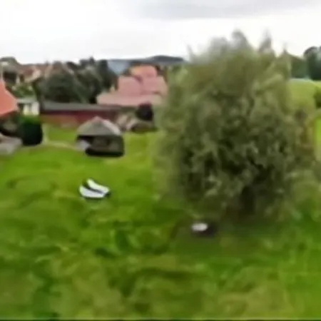 Bliev-hee Nr 5 * קלינק